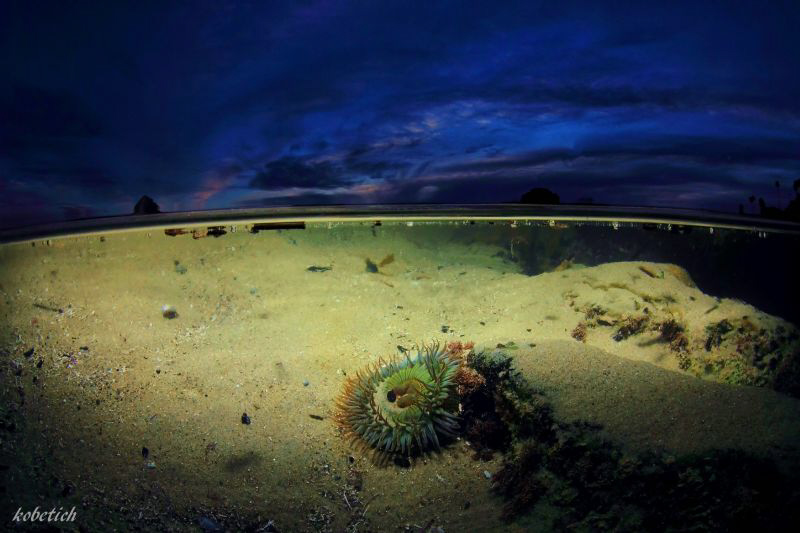 my friend opening up on the last incoming tide ...a huge ... by Dale Kobetich 
