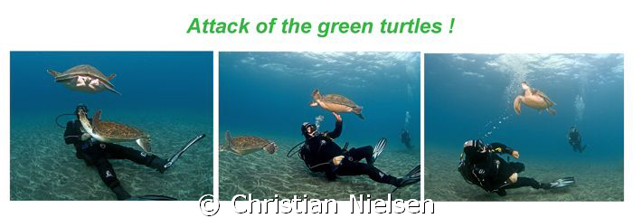 Just showing the image with the diver putting a hand on t... by Christian Nielsen 