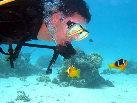 Red Sea, no more than 10 meters deep, great visibility, l... by Stevica Mrdja 