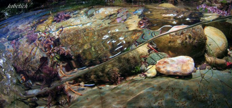 Stuff on the bottom after a storm by Dale Kobetich 