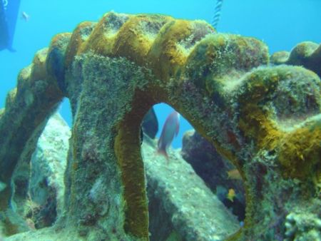 Anchor Winch on Bow SS Thistlegorm

 by Harvey Page 