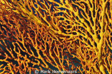 Abstract by Mark Hoevenaars 