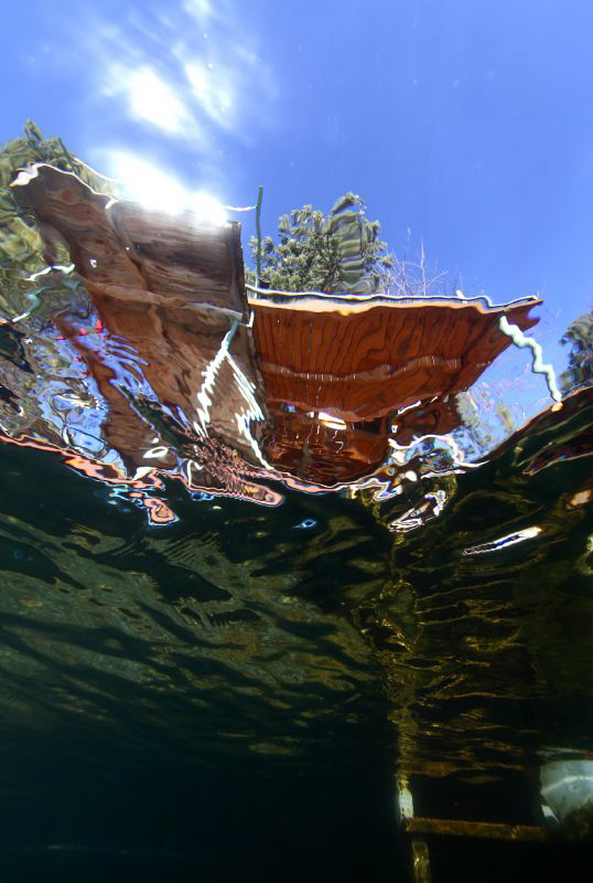 Entrance into the water from the water by Veronika Matějková 