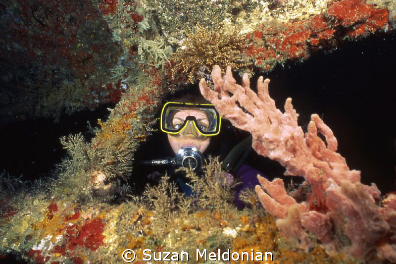 Diver on the Sea Empress by Suzan Meldonian 