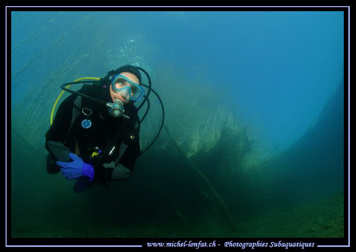 Diving the clear water's of our lakes... But since a coup... by Michel Lonfat 