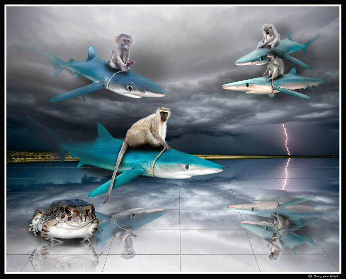 Blue riders on the storm... by Dray Van Beeck 