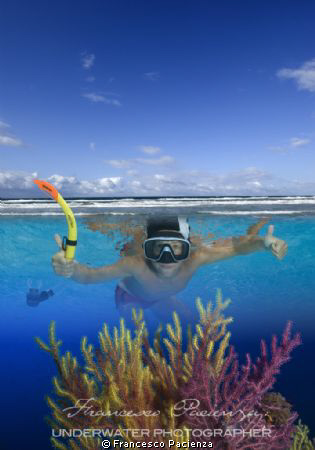 I'm happy to dive here. by Francesco Pacienza 