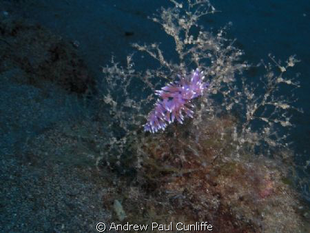 Lanzarote has great waters for taking pictures of this yo... by Andrew Paul Cunliffe 