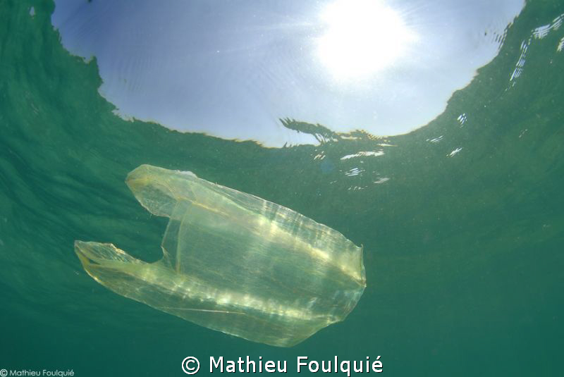 deadly plastic mimicry by Mathieu Foulquié 