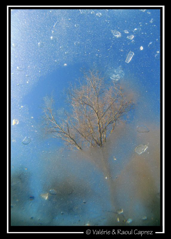 Natural "ice filter" ... juste a small hole in the ice to... by Raoul Caprez 