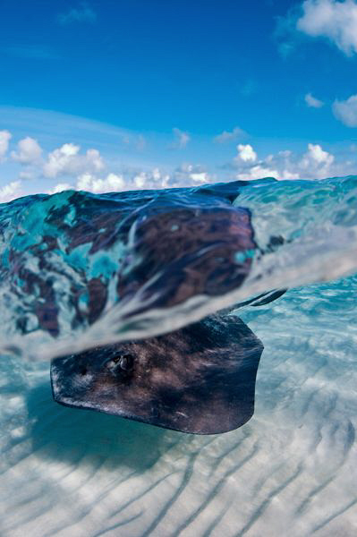 This image is a lucky shot, but I love it - the choppy co... by Paul Colley 