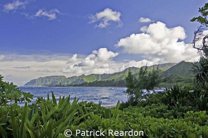 Idyllic afternoon.  North Shore, Oahu. by Patrick Reardon 
