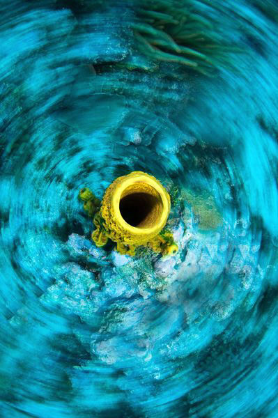 A 'spin shot'; the background blur was produced in-camera... by Paul Colley 
