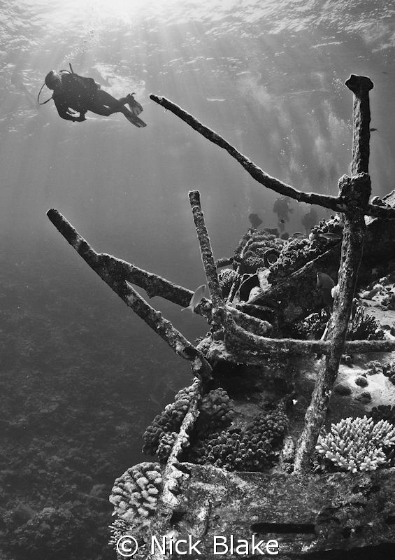 A dive on Chrysoula K
Nikon D300, Tokina 10-17mm. by Nick Blake 