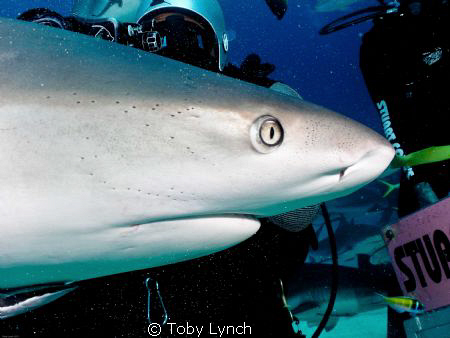 excuse me.. coming through!!! by Toby Lynch 