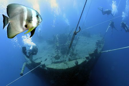 thistlegorm again, this time with a doublebar brim standi... by Dan Ashkenasi 