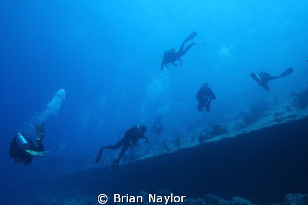 drifting into the lagoon on a clear day, looking up from ... by Brian Naylor 