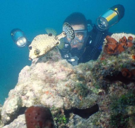 Key West
Photographer on Patrol
Sea & Sea MMIIEX dual Y... by Steven Whitehead 