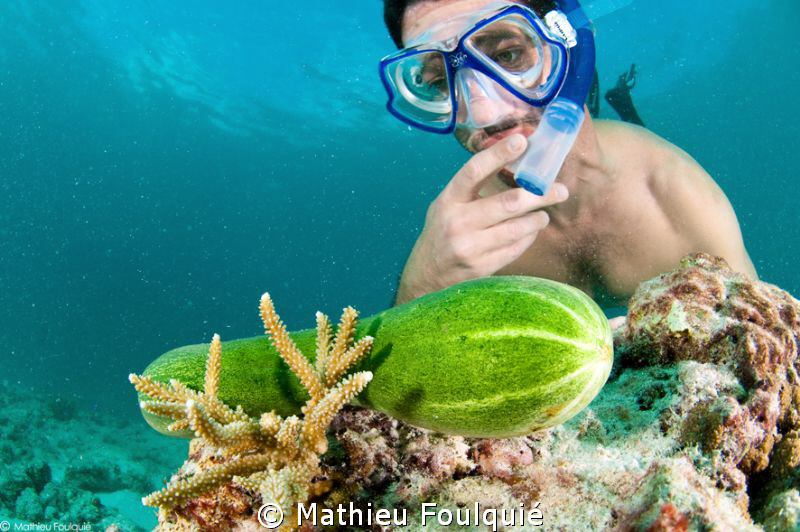 strange new sea-cucumber ... by Mathieu Foulquié 
