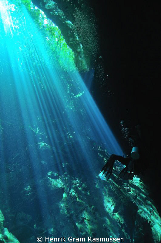 Diver at Cenote Ponderosa by Henrik Gram Rasmussen 