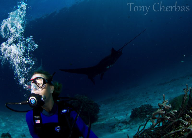 What Manta? Where? by Tony Cherbas 