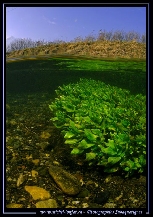 Photo session in a small Canal...  Que du bonheur... :O)... by Michel Lonfat 