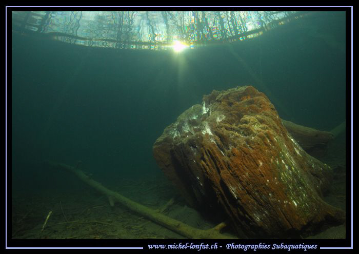 Freshwater atmosphere.... :O)... by Michel Lonfat 