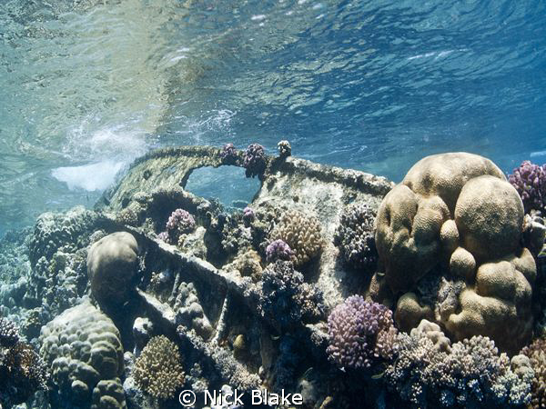 The remains of the bows of a Tug Boat which have become p... by Nick Blake 