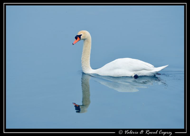 Like a a crystal water
(unfortunately only on the surface) by Raoul Caprez 