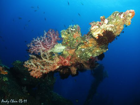 Tulamben Shipwreck on Canon S95 + Three Strobes by Andy Chan 