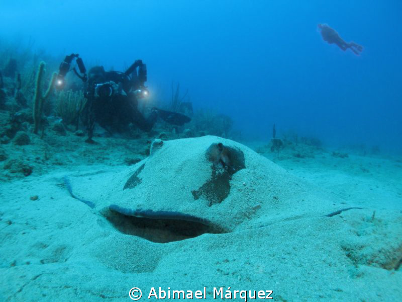 Someone looks at me, Patillas, P.R. by Abimael Márquez 