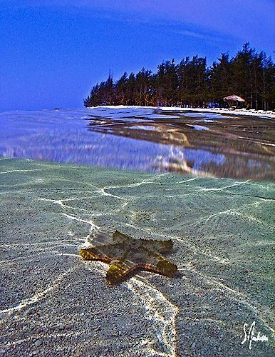 I have several images that were taken during a trip in 20... by Steven Anderson 