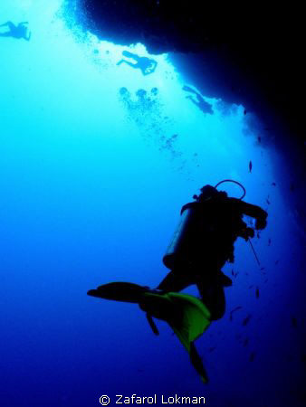 yellow fin diver by Zafarol Lokman 