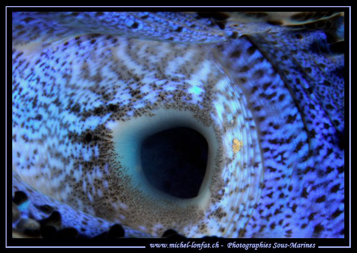 "The Blue Hole".... :O).... by Michel Lonfat 