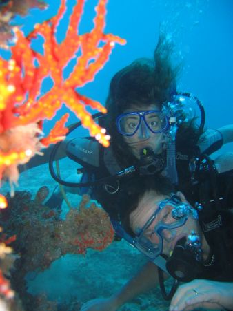 Students Taken in St. Lucia on Wreck called Lesleen "M" by Marcus Joseph 