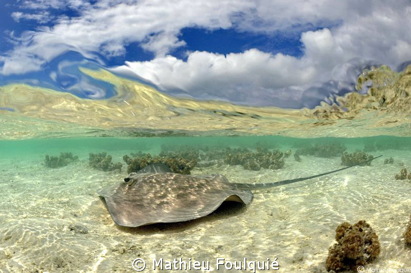 Rangiroa atoll by Mathieu Foulquié 