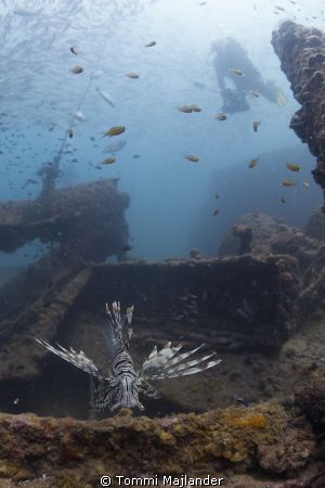 Boonsung wreck, Canon 5dM2 FE 15m, Ikelite Housing, natur... by Tommi Majlander 