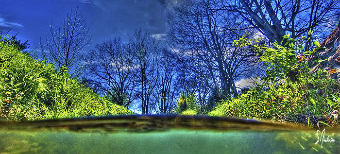 This is a HDR of the creek in back - Sunny day and playin... by Steven Anderson 