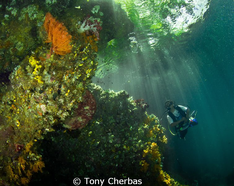 Sea Dust and Sun Beams by Tony Cherbas 