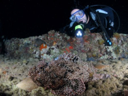 Used Photoshop to sharpen the Scorpionfish and blurring t... by Juan Torres 