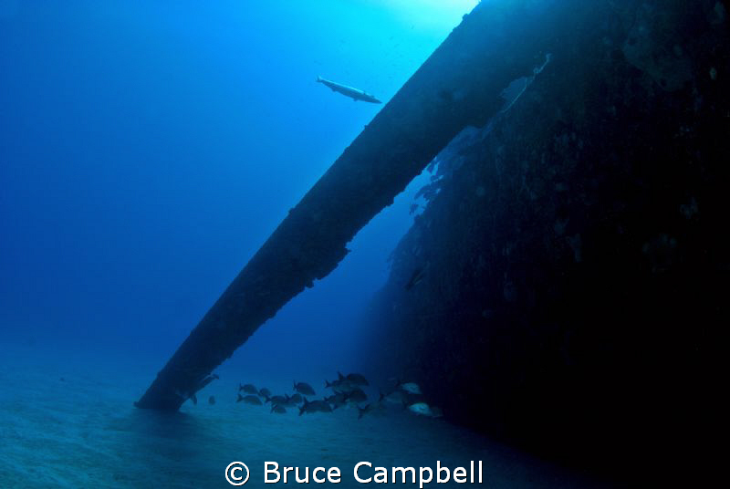 MV Commerce and barracuda off the coast of Anguilla. by Bruce Campbell 