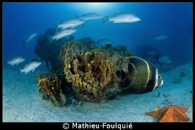 Los Roques_Venezuela by Mathieu Foulquié 