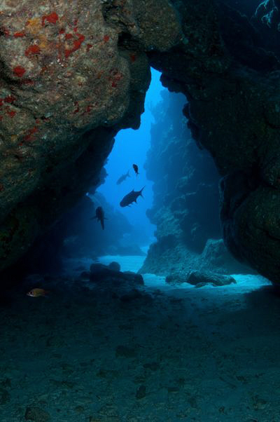 Cayman swim through & Tarpon by Paul Colley 