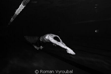 dynamics
 by Roman Vyroubal 