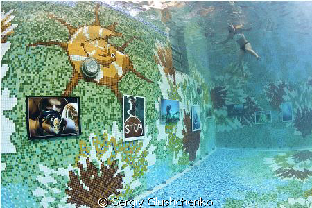 Underwater photoexibition in swimming pool... by Sergiy Glushchenko 