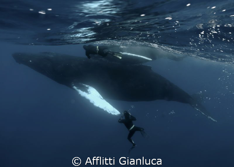 big..... by Afflitti Gianluca 