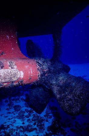 Dive Prop - C52 in Cozumel is great dive. You can safely ... by Michael Shope 