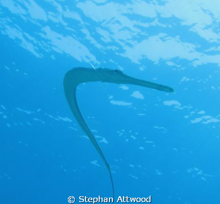 90 degrees by Stephan Attwood 