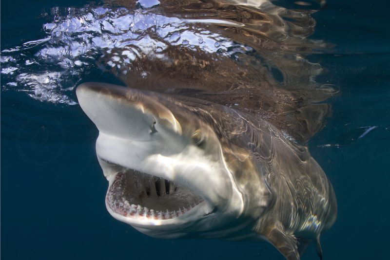 Yikes :) by Allen Walker 