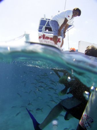 End of a great dive in Manchones reef on Isla Mujeres, Me... by Patrick Walsh 